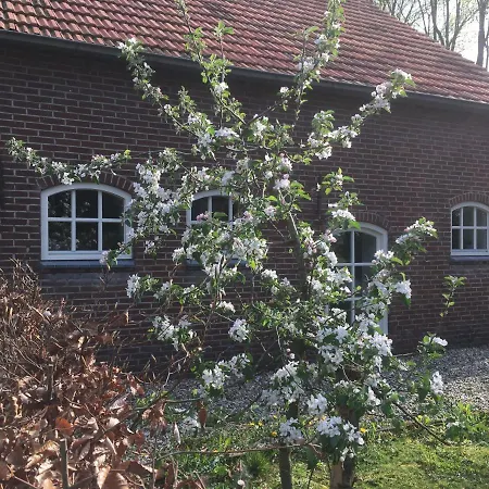 Bij Bedaf 3*