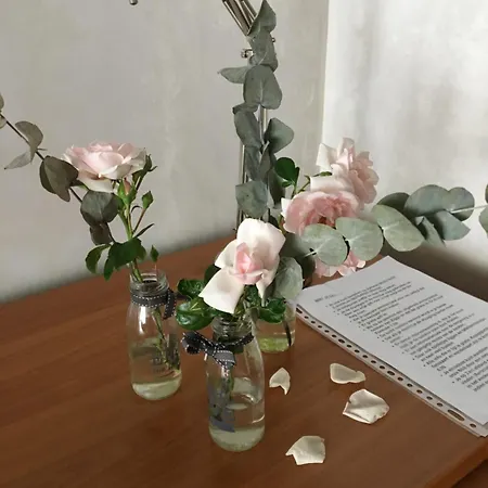 B&B Bij Bedaf 3*