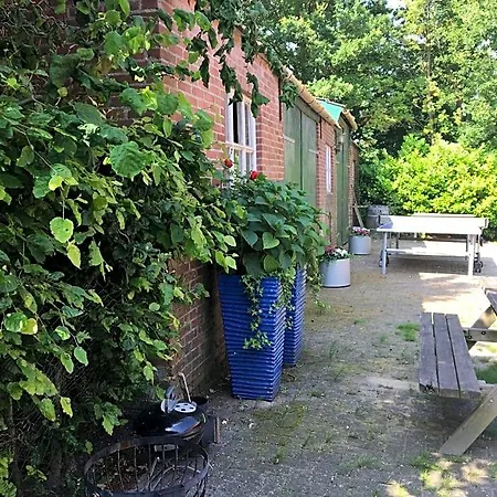 Bij Bedaf 3*