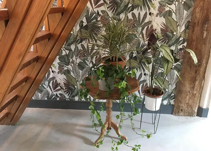 Bij Bedaf Nocleg ze śniadaniem