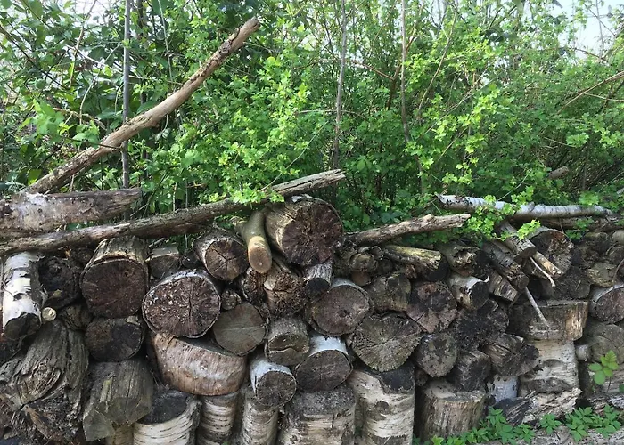 Bij Bedaf Nocleg ze śniadaniem 3*