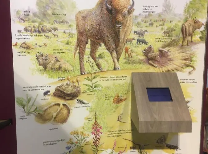 Bed and Breakfast Bij Bedaf 3*