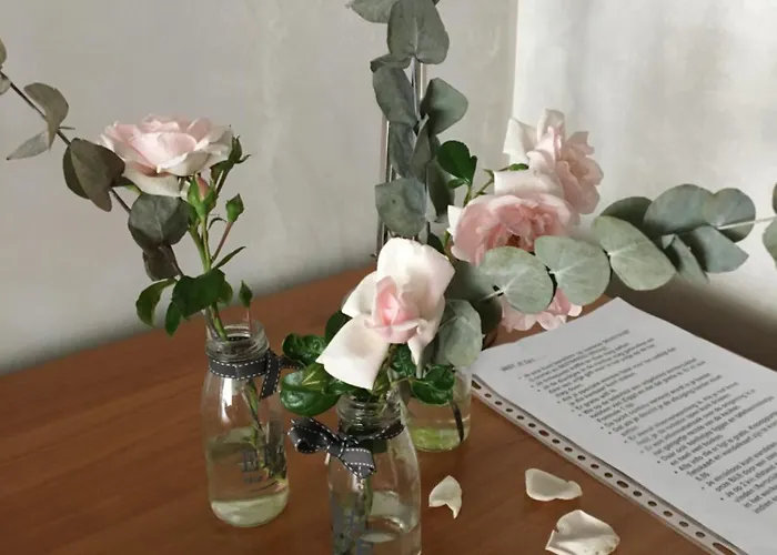 Couette-café Bij Bedaf 3*